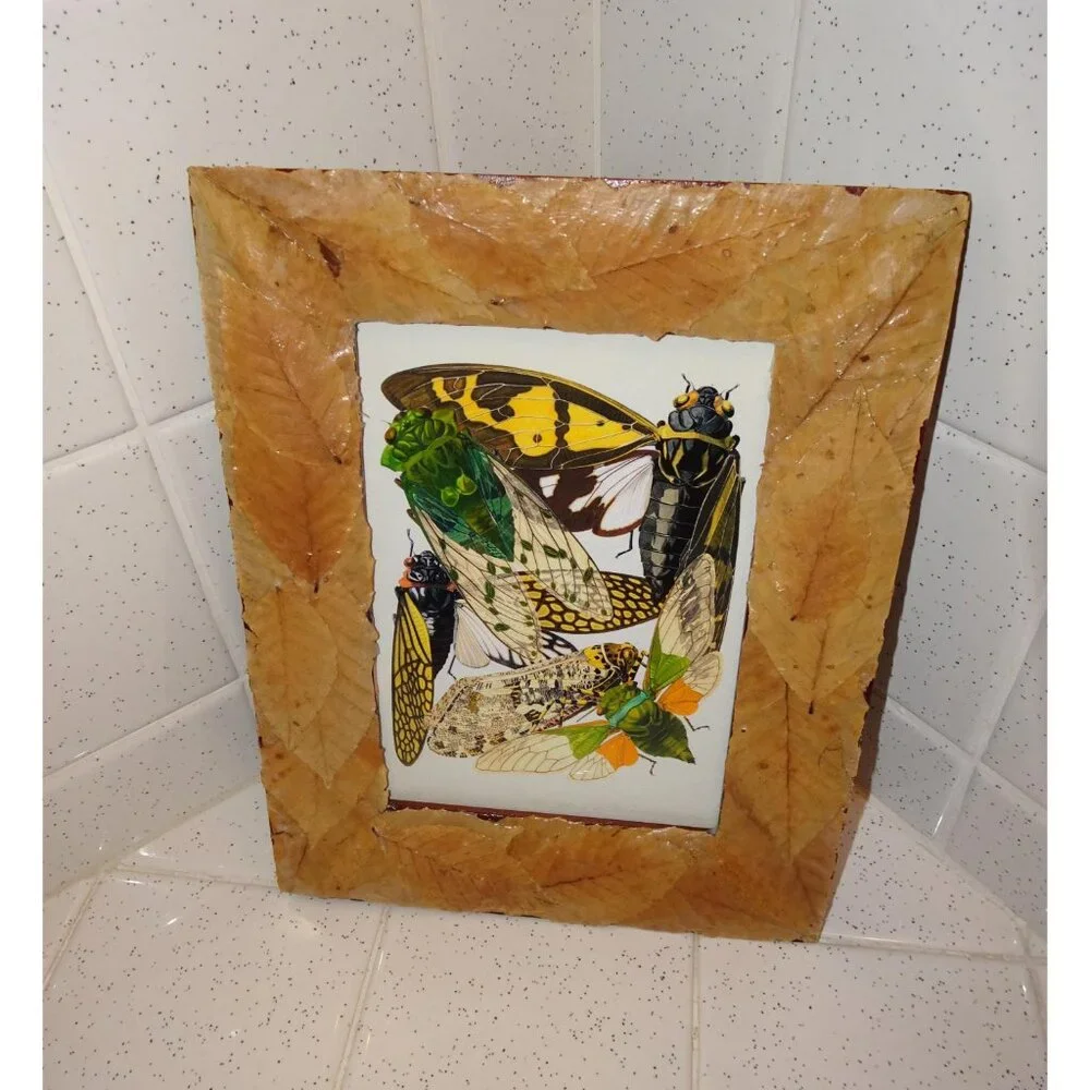 Vintage Art Print of Cicadas in Frame with Real Leaves goth witchy nature insect